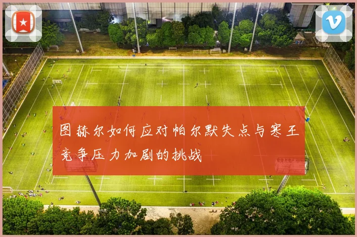 图赫尔如何应对帕尔默失点与寒王竞争压力加剧的挑战